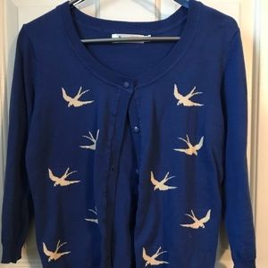 Blue cardigan